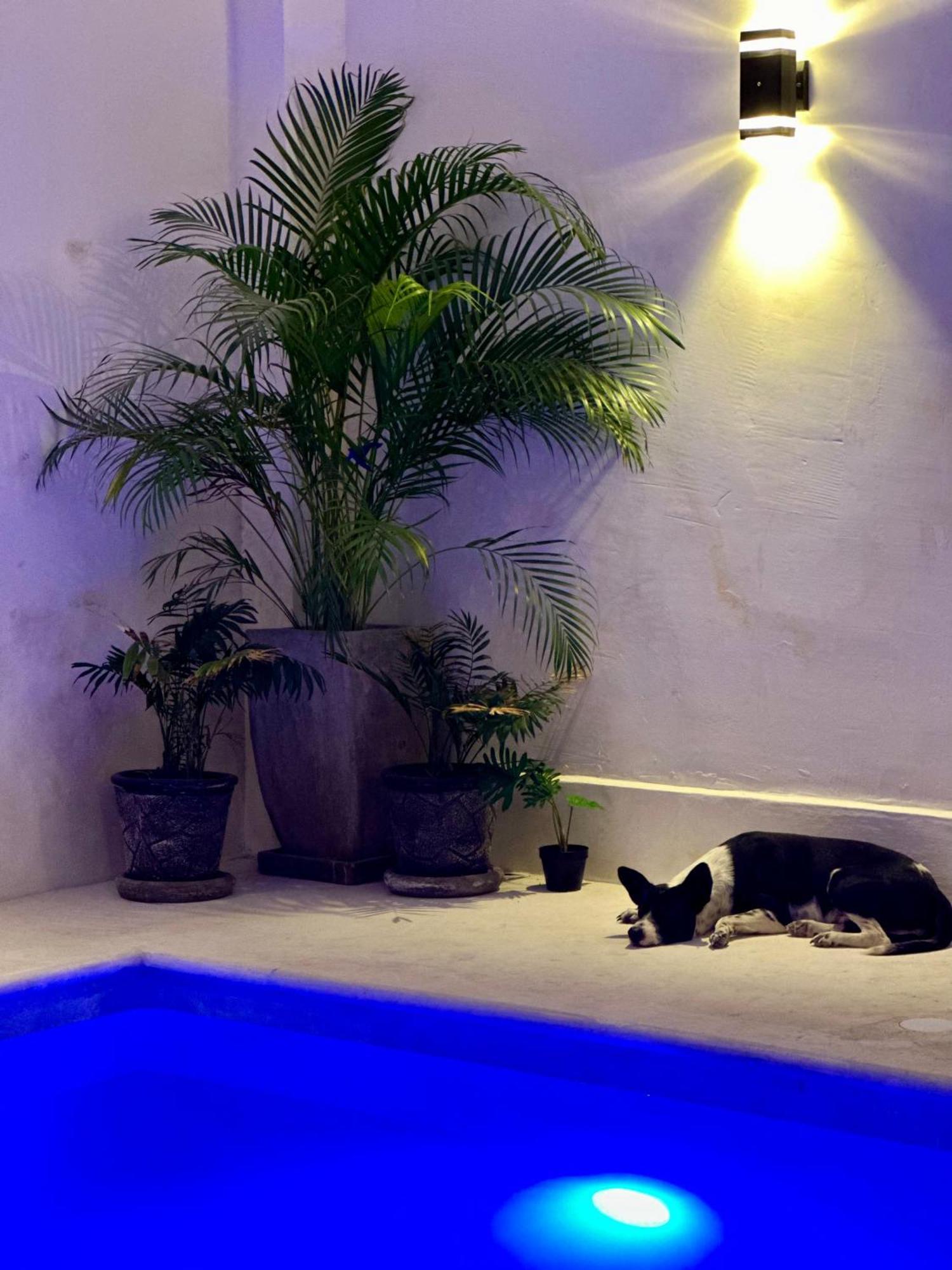 Hotel Casa Prisca Coyuca de Benitez Exteriör bild